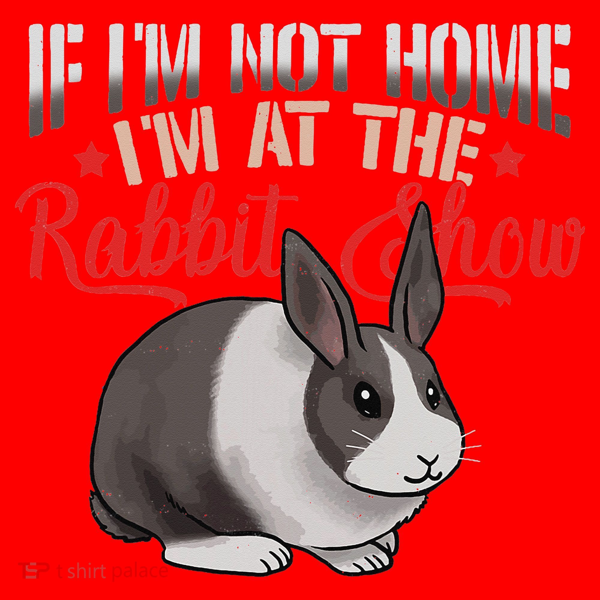 Show Rabbit For Dutch Rabbit Owner Santa Hat