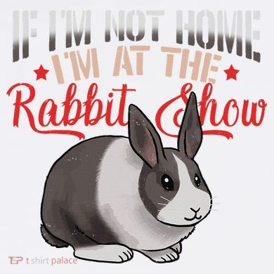 Show Rabbit For Dutch Rabbit Owner Comfort Colors Garment-Dyed Hooded Sweatshirt
