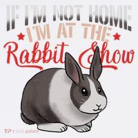 Show Rabbit For Dutch Rabbit Owner Comfort Colors Garment-Dyed Hooded Sweatshirt thumb 2