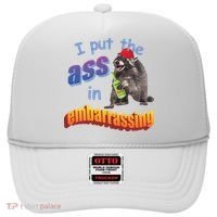 Raccoon I Put The Ass In Embarrassing Hat thumb 0