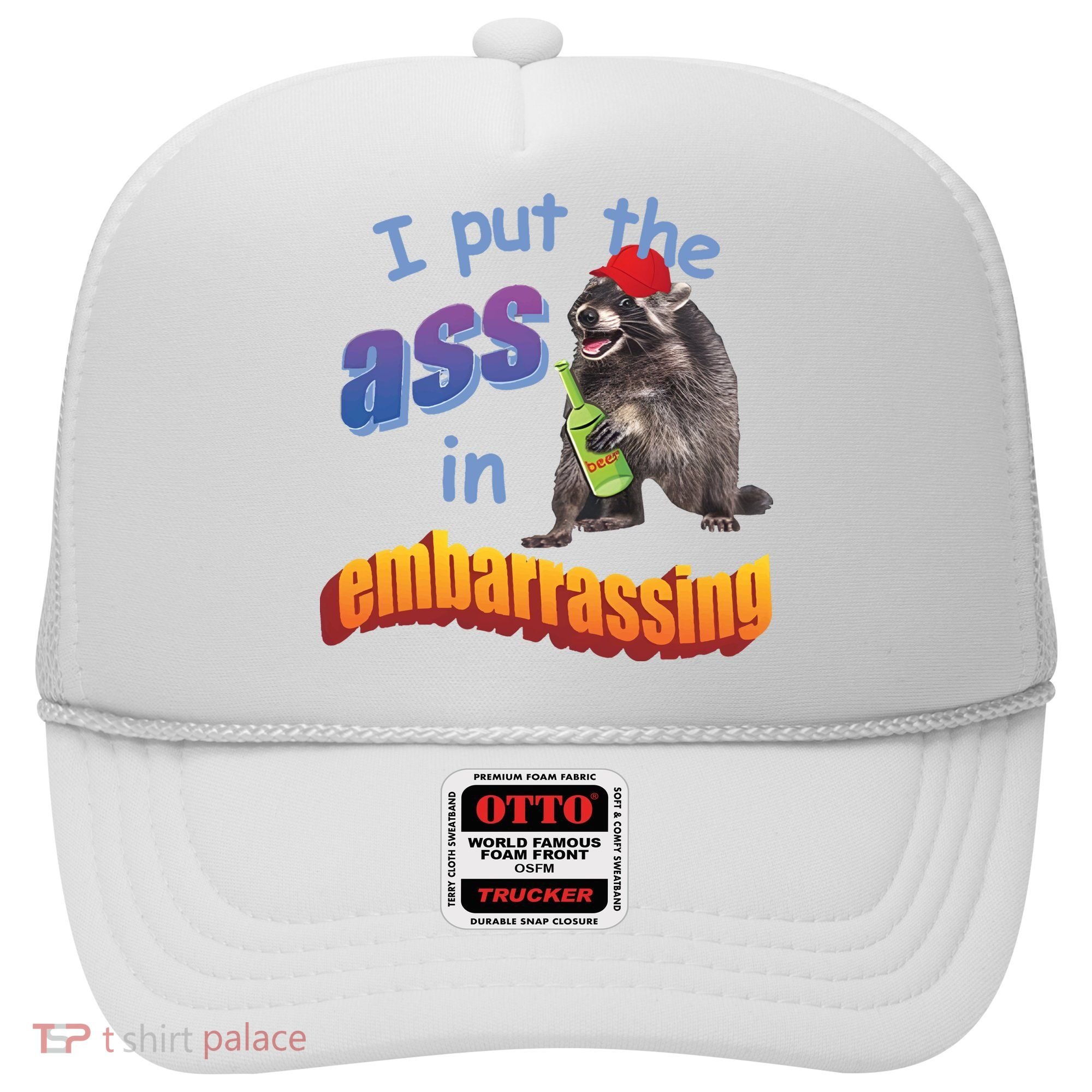 Raccoon I Put The Ass In Embarrassing Hat