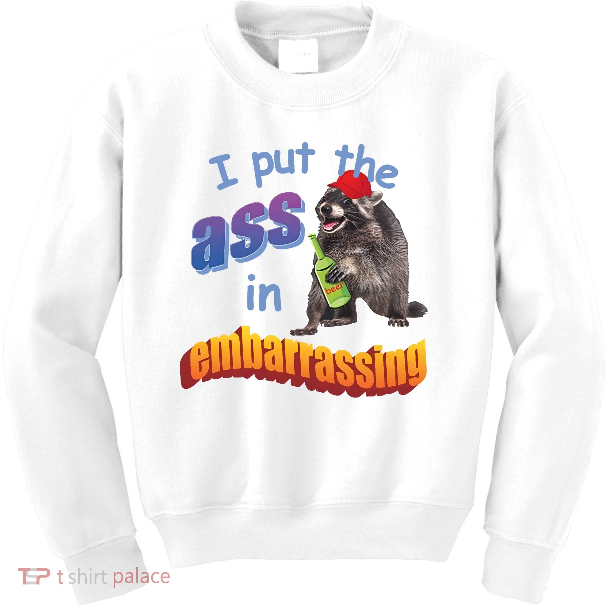 Raccoon I Put The Ass In Embarrassing Kids Sweatshirt
