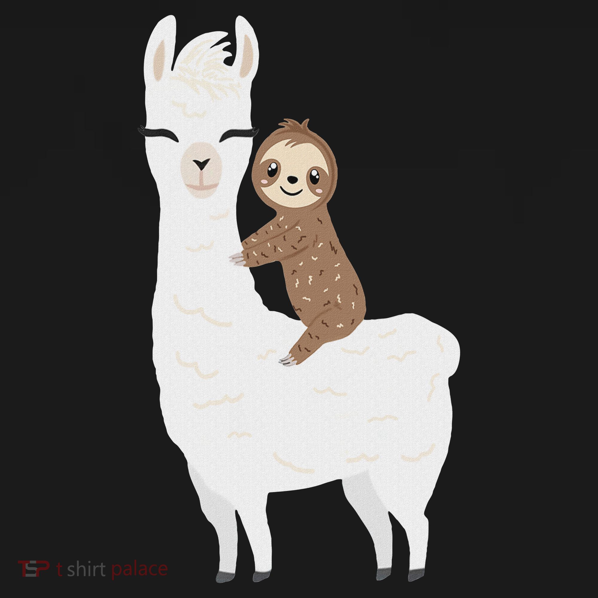 Sloth Riding Llama Funny Birthday Gift For Boy, Girl Women's Hoodie
