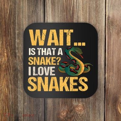 Snake Reptile Lovers Herpetologist Ophidiophilia Coaster