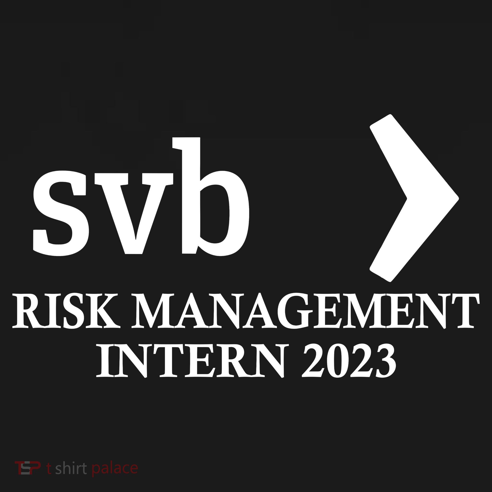 SVB Risk Management Intern Department Dept Team 2023 Backpack