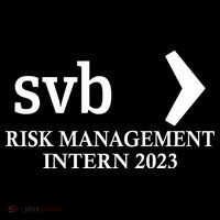 SVB Risk Management Intern Department Dept Team 2023 Ornament thumb 1