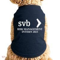 SVB Risk Management Intern Department Dept Team 2023 Doggie Tank thumb 0