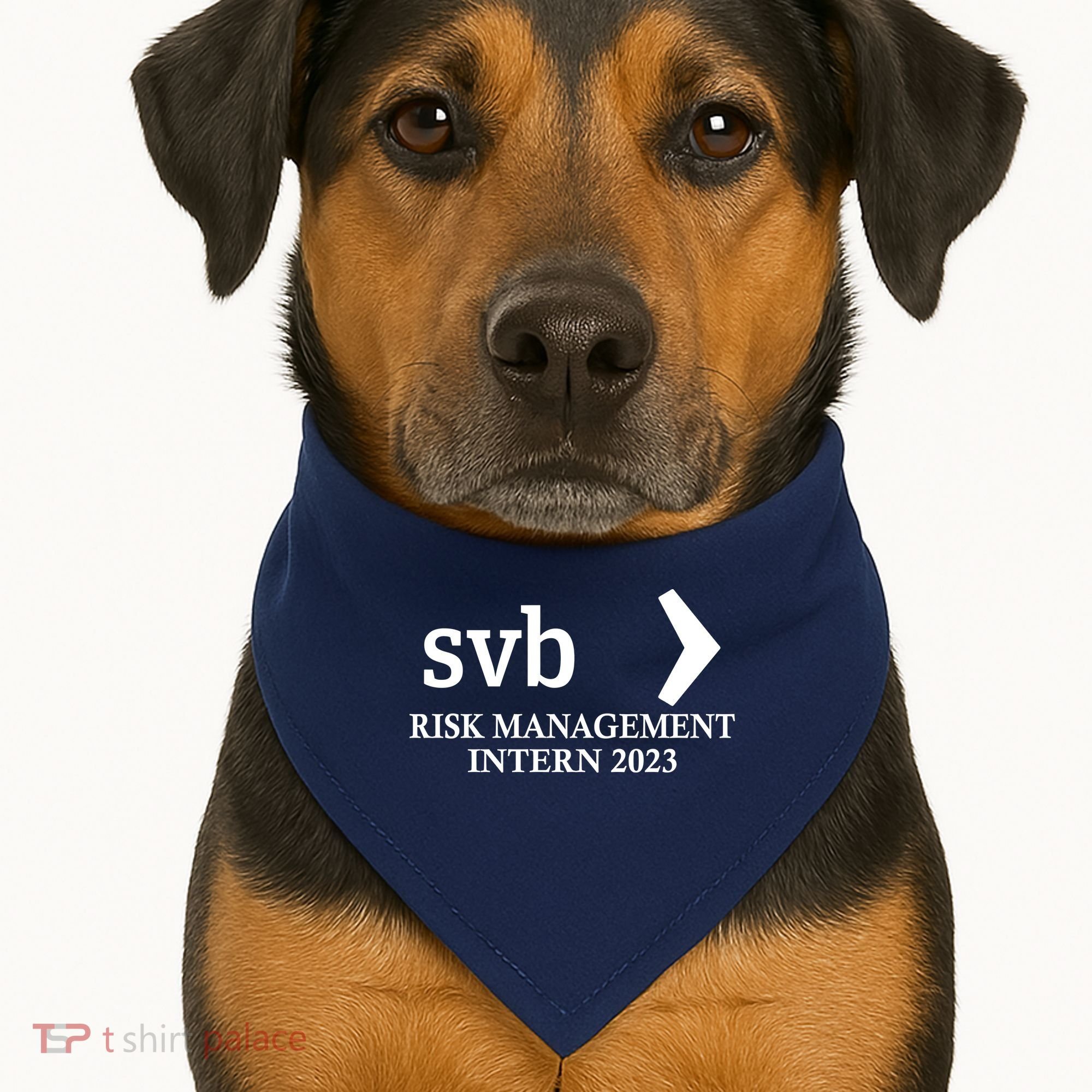 SVB Risk Management Intern Department Dept Team 2023 USA-Made Doggie Bandana
