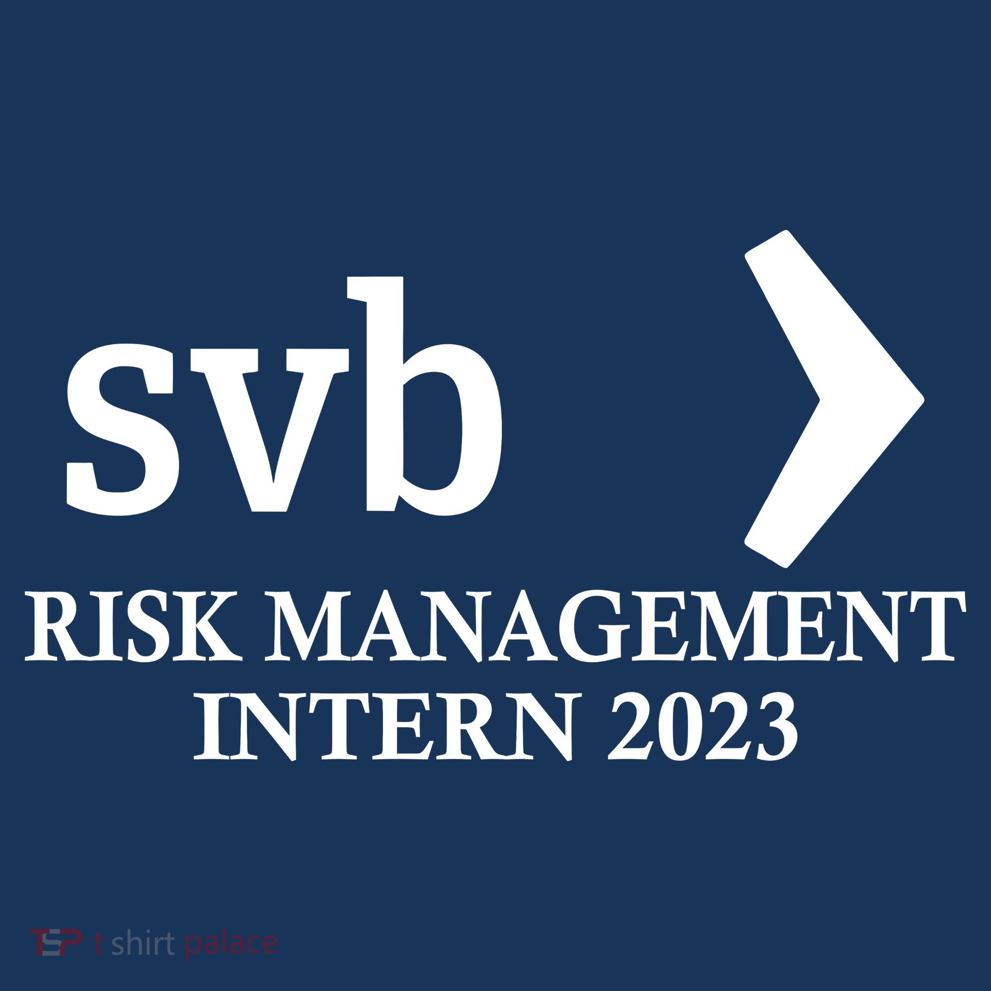 SVB Risk Management Intern Department Dept Team 2023 Kids T-Shirt