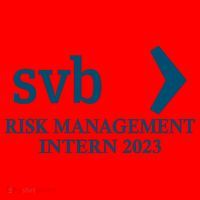 SVB Risk Management Intern Department Dept Team 2023 Santa Hat thumb 1