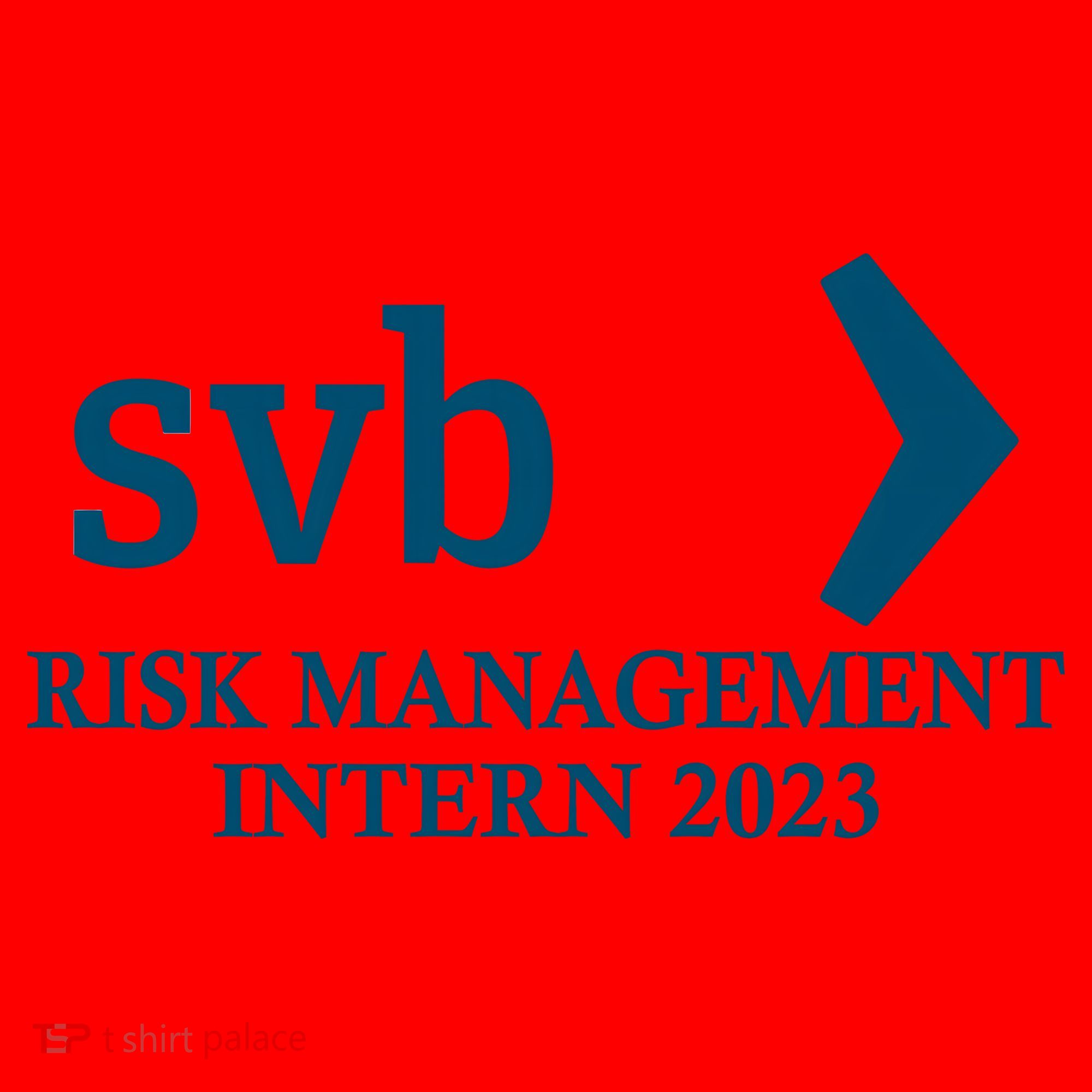 SVB Risk Management Intern Department Dept Team 2023 Santa Hat