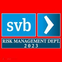 SVB Risk Management Dept. Department Team 2023 Santa Hat thumb 1