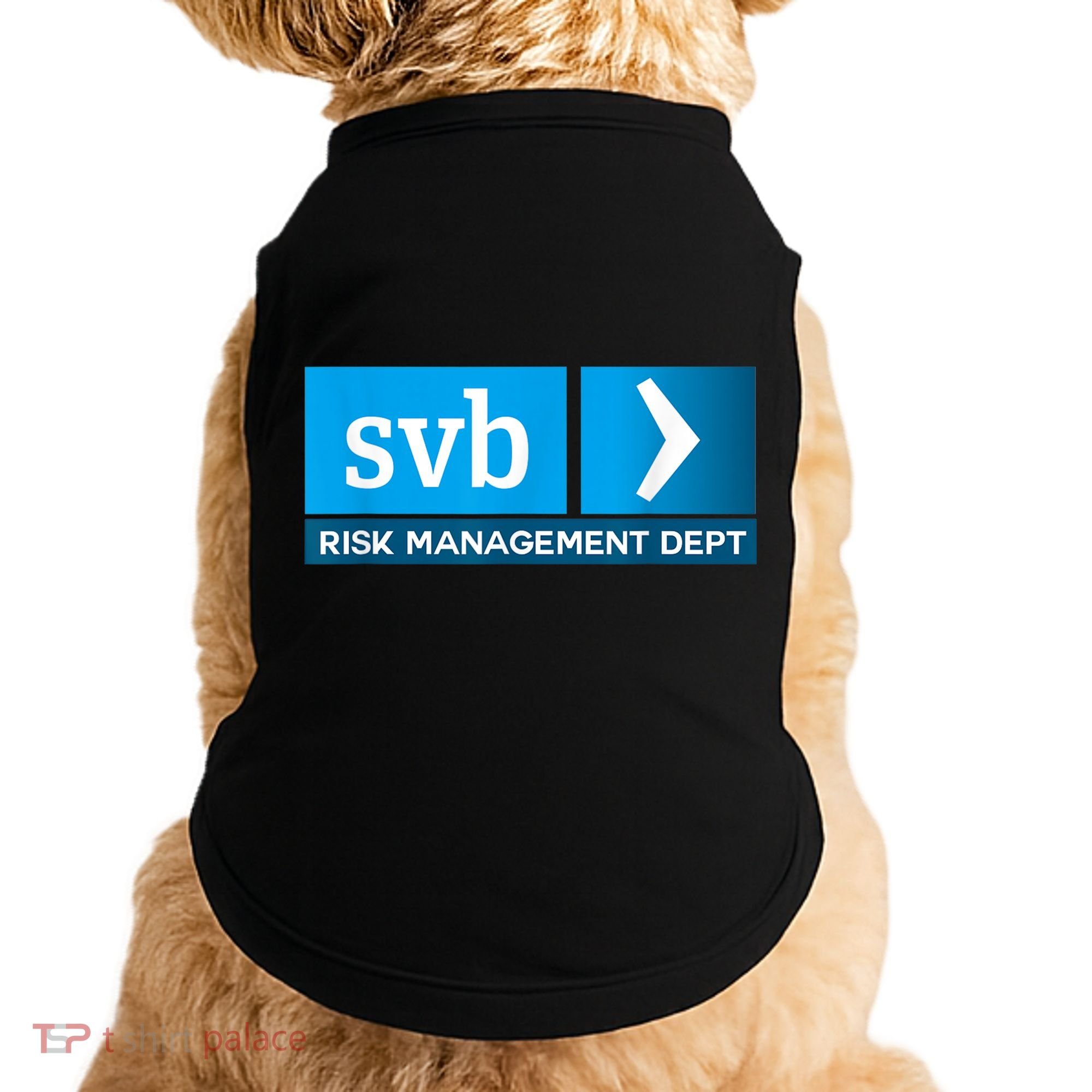 SVB Risk Management Team Svb Risk Management Department Doggie Tank