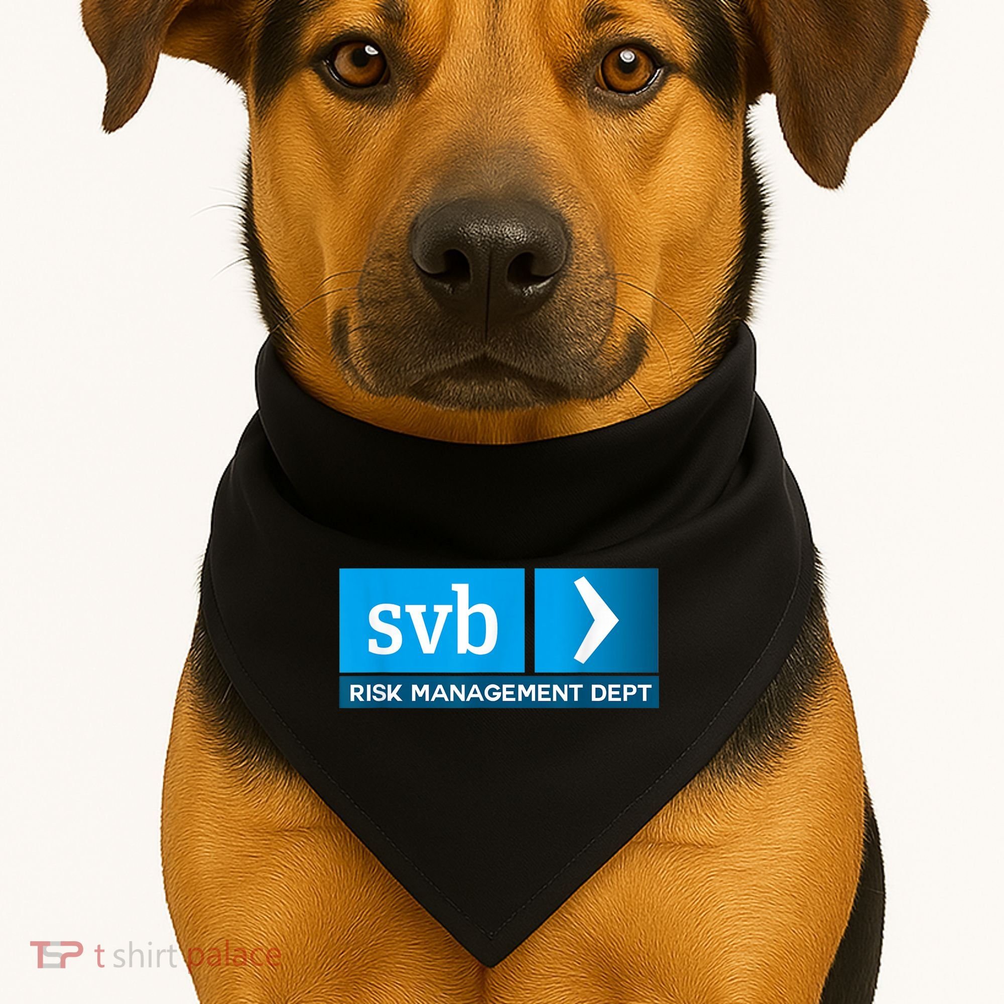 SVB Risk Management Team Svb Risk Management Department USA-Made Doggie Bandana