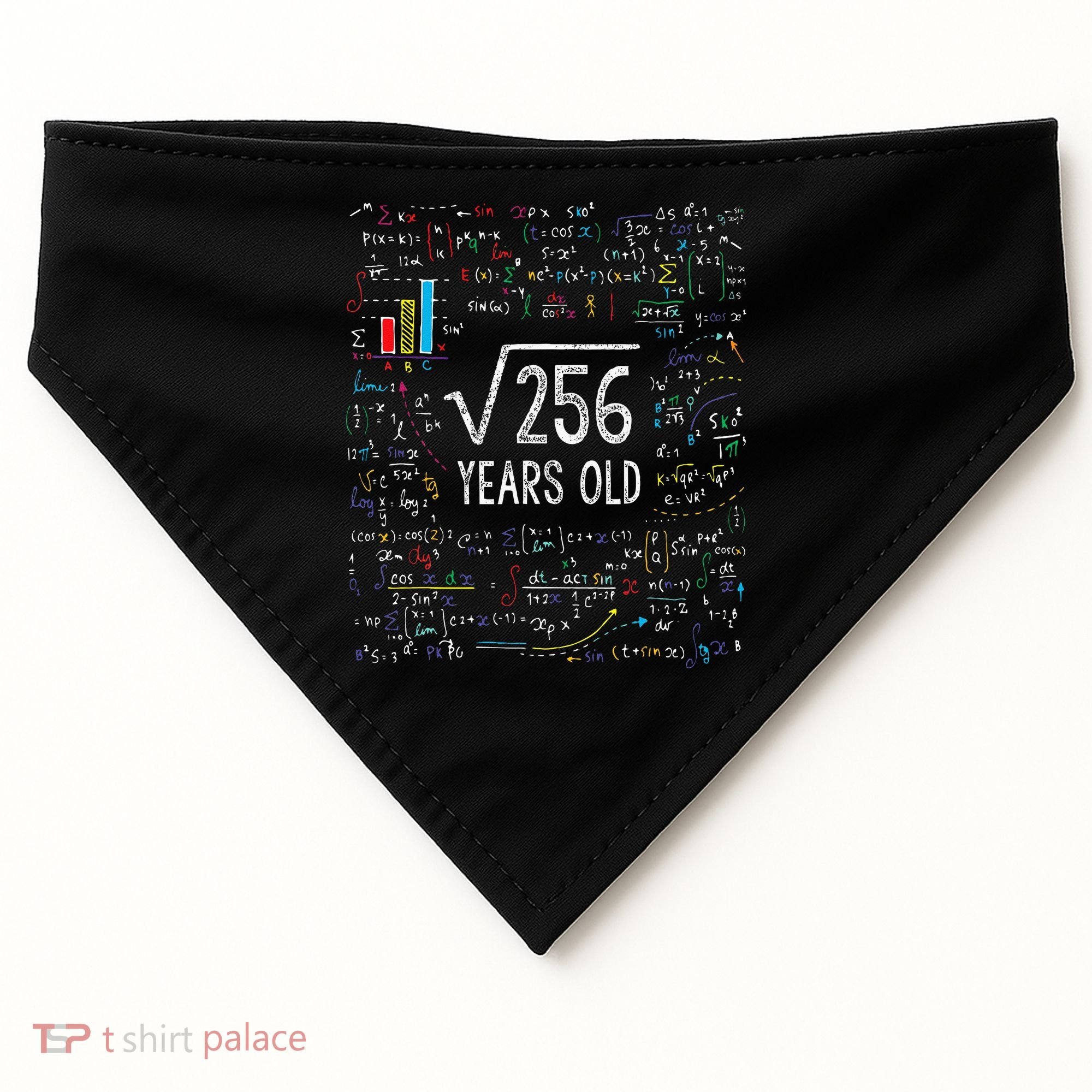 Square Root Of 256 16th Birthday 16 Year Old Gifts Math Bday USA-Made Doggie Bandana