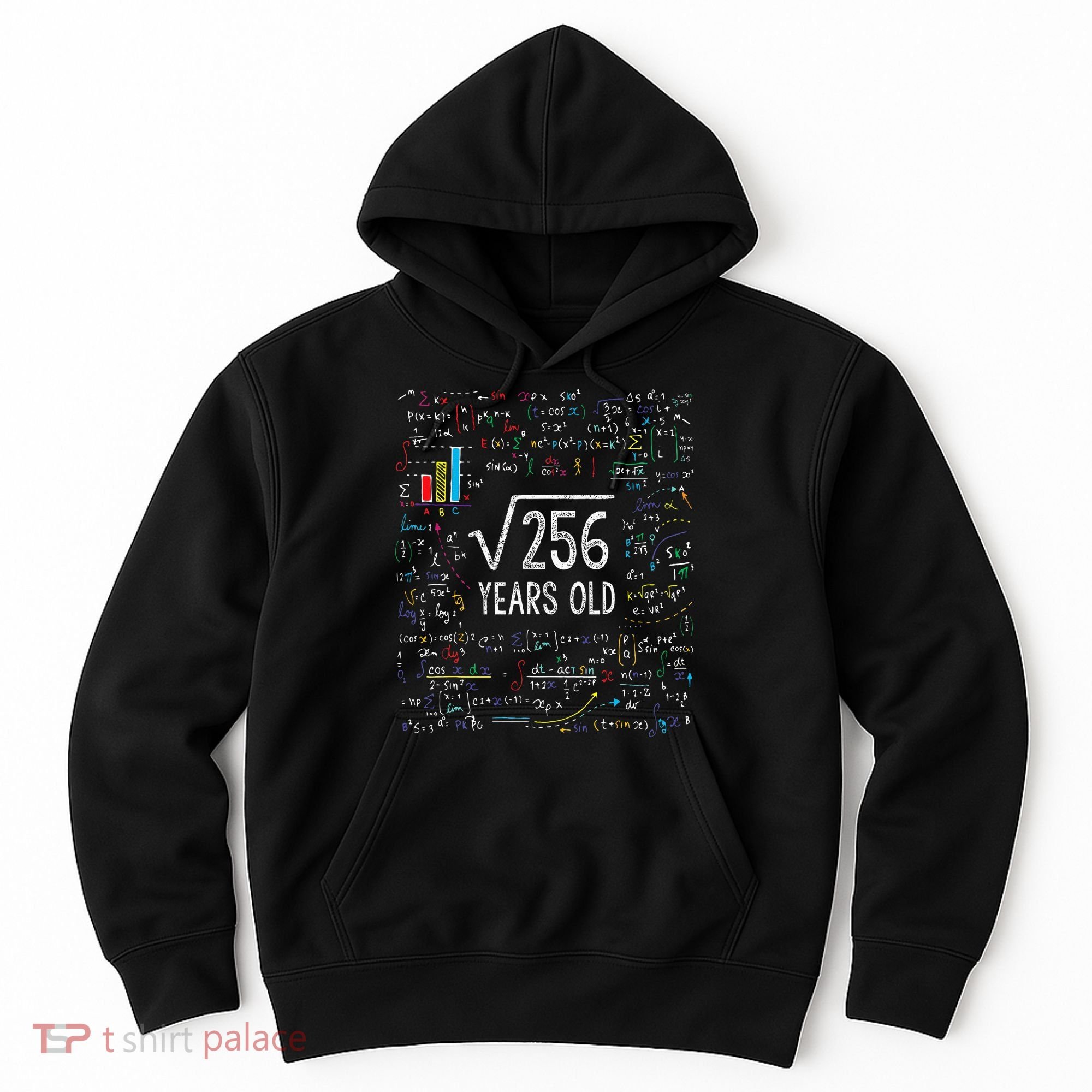 Square Root Of 256 16th Birthday 16 Year Old Gifts Math Bday Hoodie