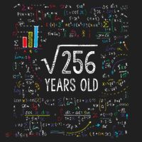 Square Root Of 256 16th Birthday 16 Year Old Gifts Math Bday Beanie thumb 2