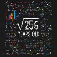 Square Root Of 256 16th Birthday 16 Year Old Gifts Math Bday Women's Hoodie thumb 2