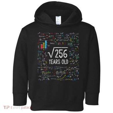Square Root Of 256 16th Birthday 16 Year Old Gifts Math Bday Toddler Hoodie