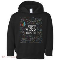 Square Root Of 256 16th Birthday 16 Year Old Gifts Math Bday Toddler Hoodie thumb 0