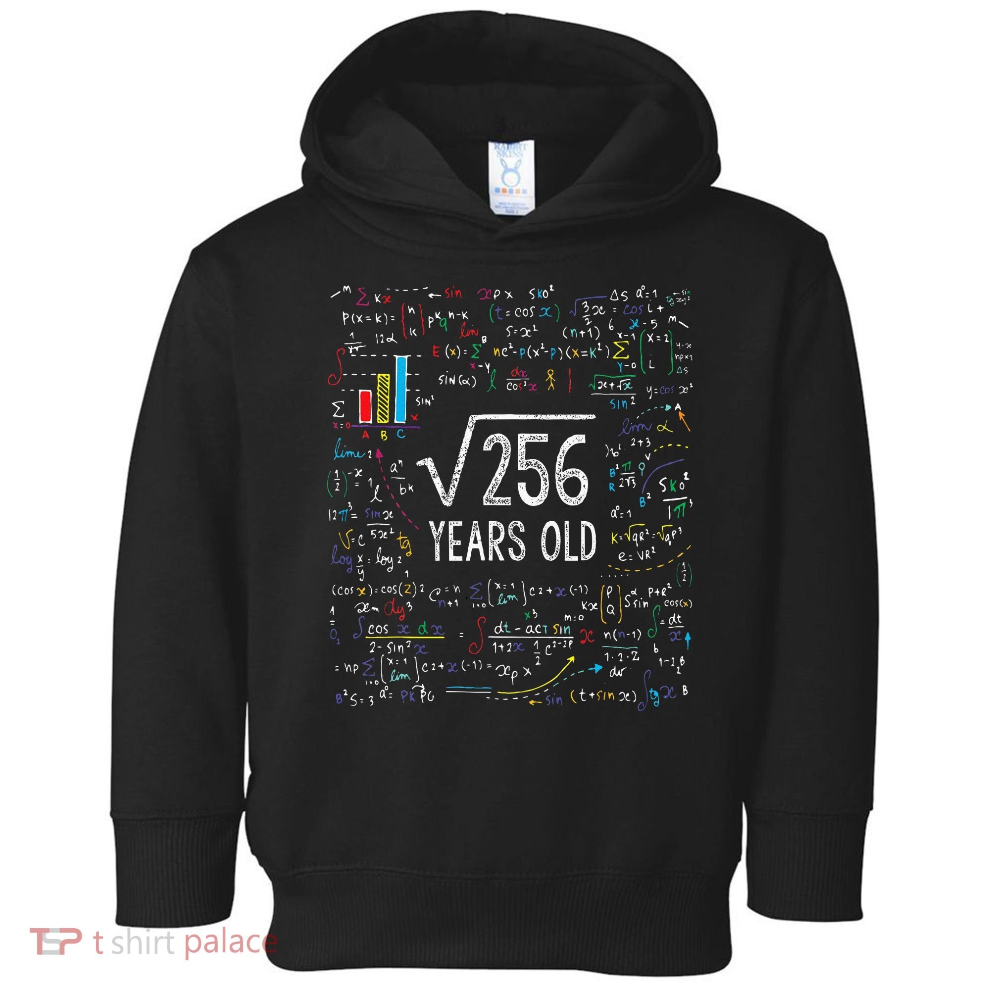 Square Root Of 256 16th Birthday 16 Year Old Gifts Math Bday Toddler Hoodie