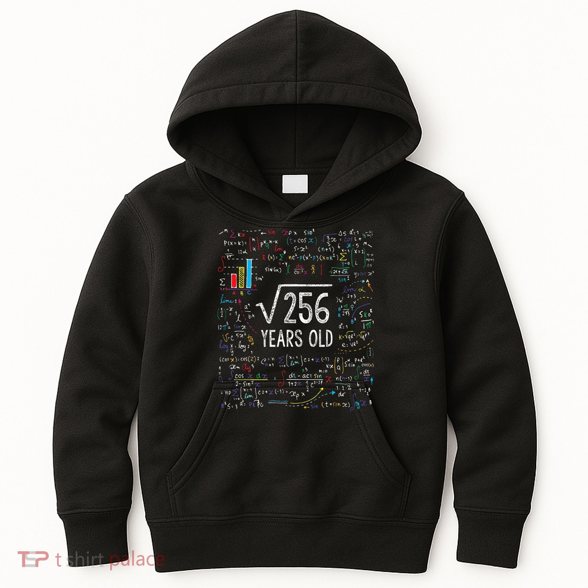 Square Root Of 256 16th Birthday 16 Year Old Gifts Math Bday Kids Hoodie