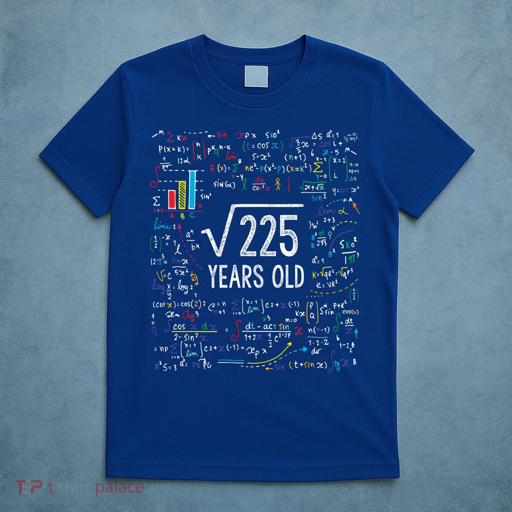 Square Root Of 225 15th Birthday Gift 15 Year Old Gifts Math Bday Gift T-Shirt