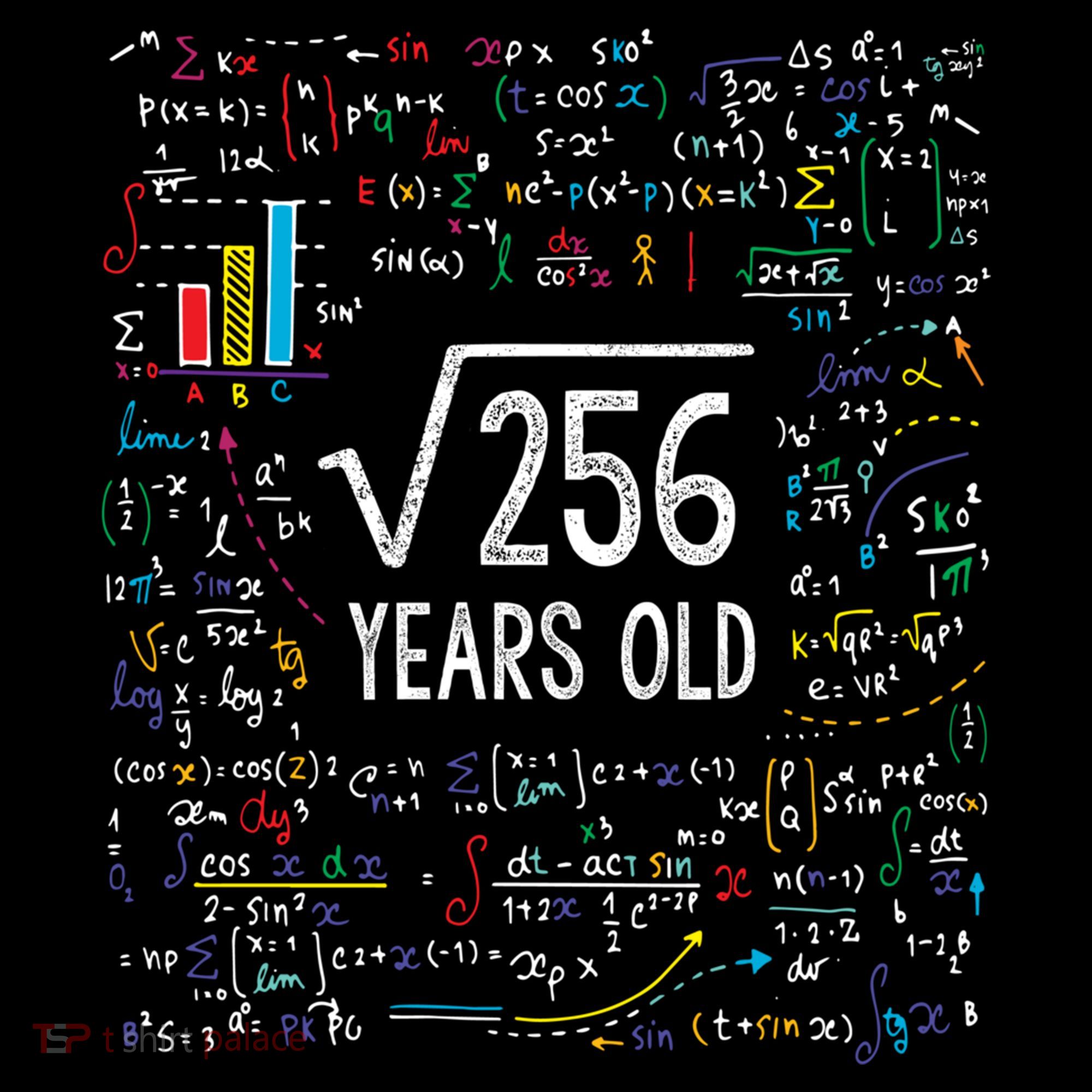 Square Root Of 256 16th Birthday Funny Gift 16 Year Old Gifts Math Bday Coffee Mug