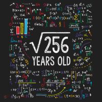 Square Root Of 256 16th Birthday Funny Gift 16 Year Old Gifts Math Bday Beanie thumb 2