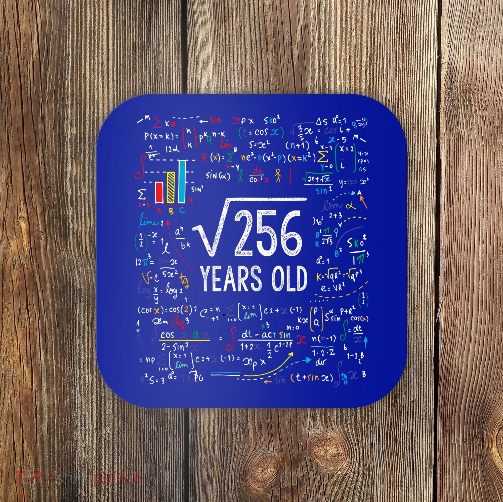 Square Root Of 256 16th Birthday Funny Gift 16 Year Old Gifts Math Bday Coaster