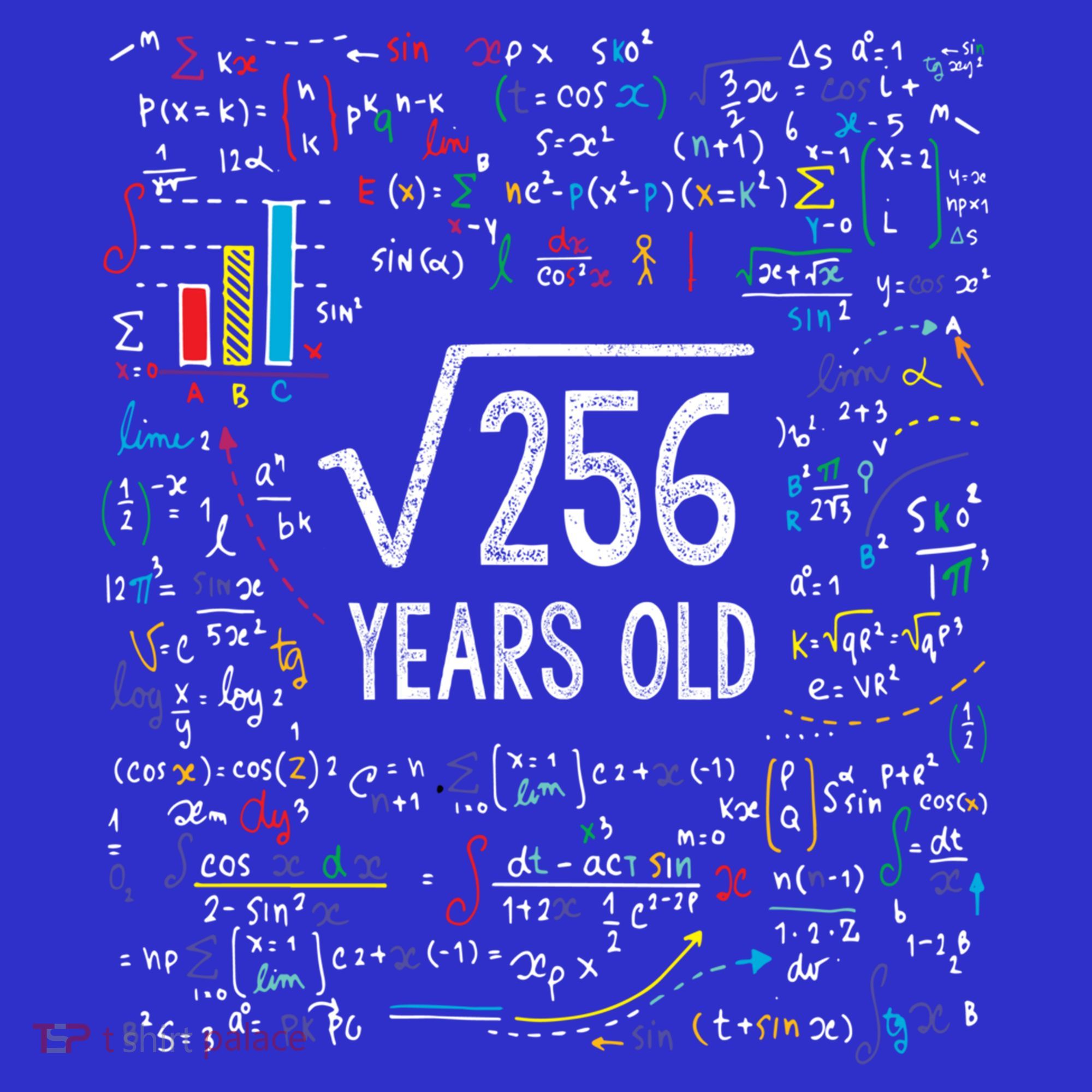 Square Root Of 256 16th Birthday Funny Gift 16 Year Old Gifts Math Bday Mousepad