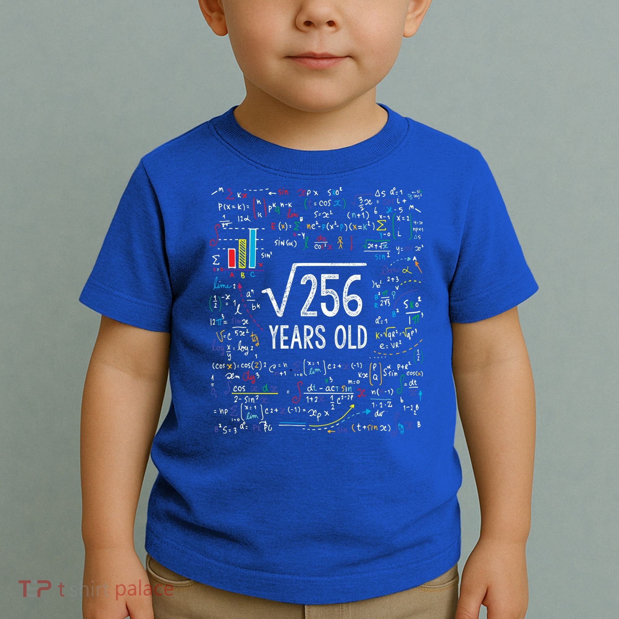 Square Root Of 256 16th Birthday Funny Gift 16 Year Old Gifts Math Bday Toddler T-Shirt