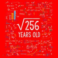 Square Root Of 256 16th Birthday Funny Gift 16 Year Old Gifts Math Bday Santa Hat thumb 1