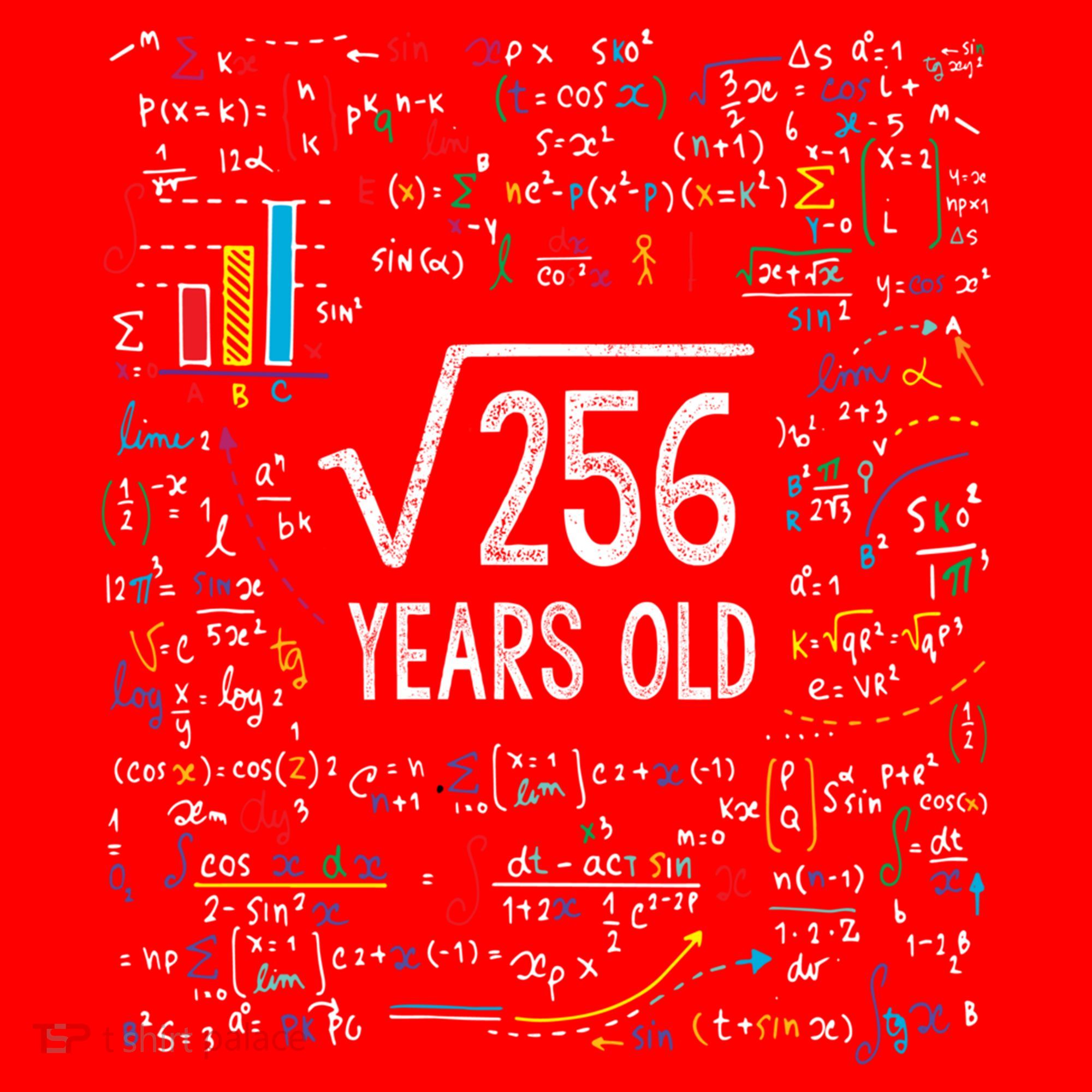 Square Root Of 256 16th Birthday Funny Gift 16 Year Old Gifts Math Bday Santa Hat