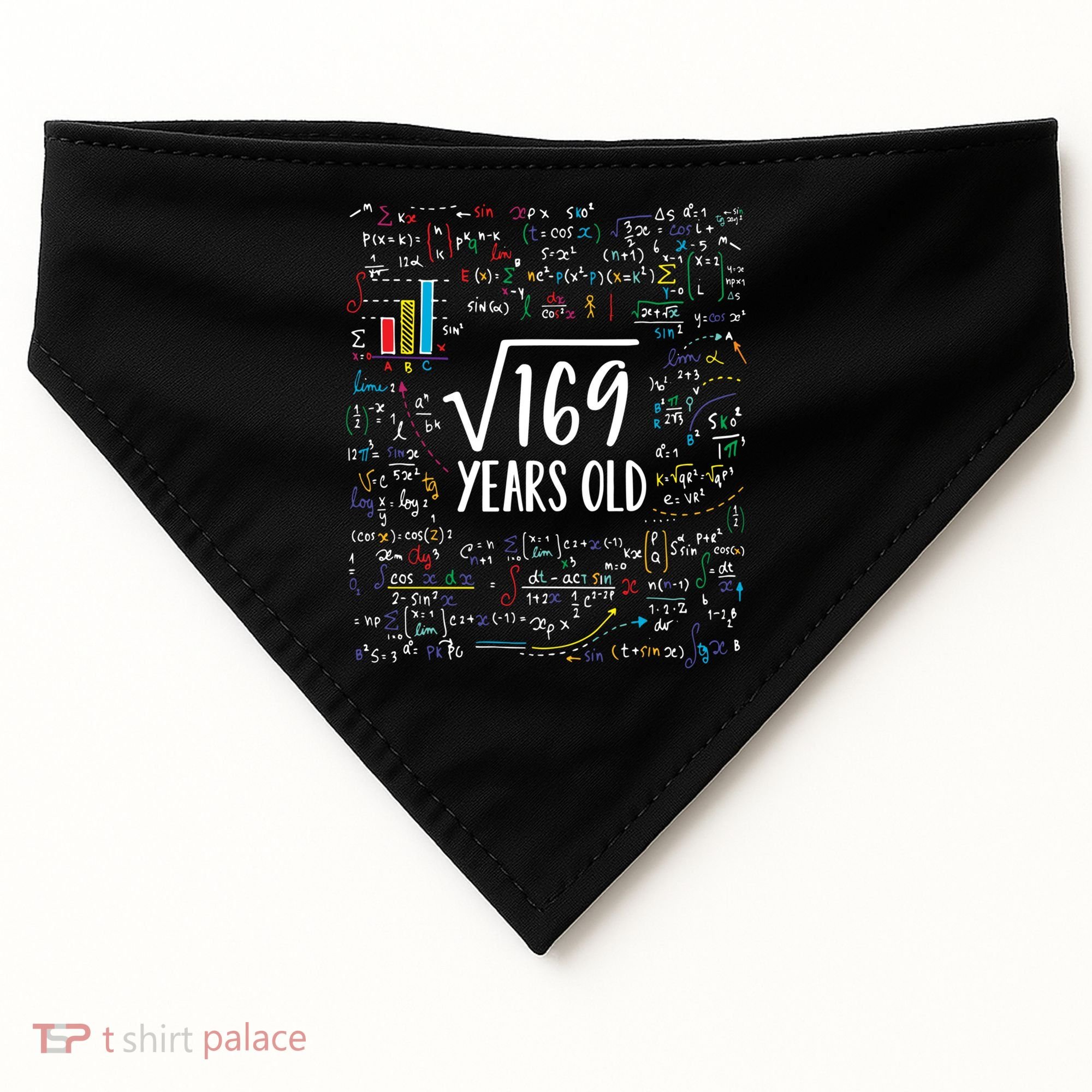 Square Root Of 169 13th Birthday Gift 13 Year Old Gifts Math Bday Gift USA-Made Doggie Bandana