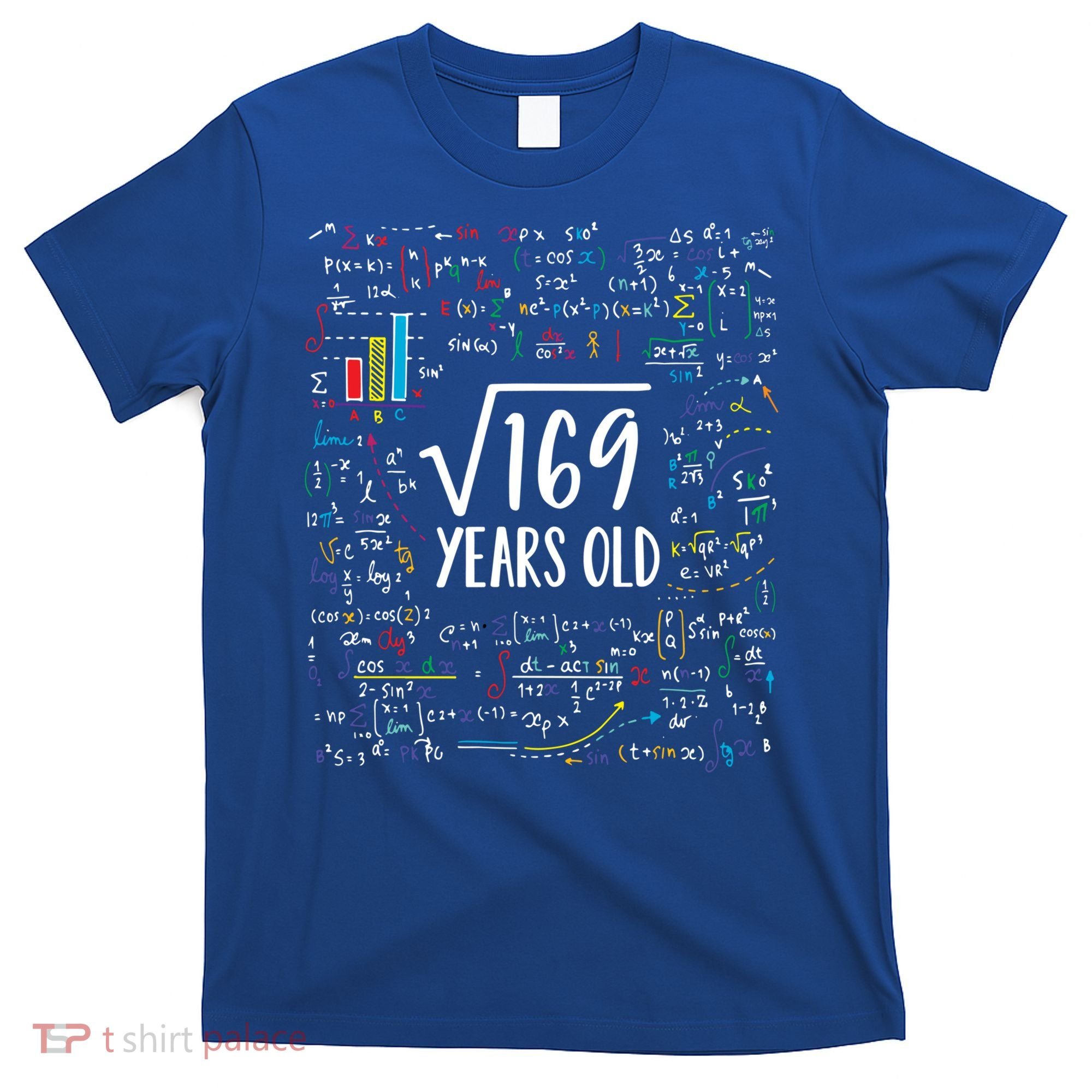 Square Root Of 169 13th Birthday Gift 13 Year Old Gifts Math Bday Gift T-Shirt