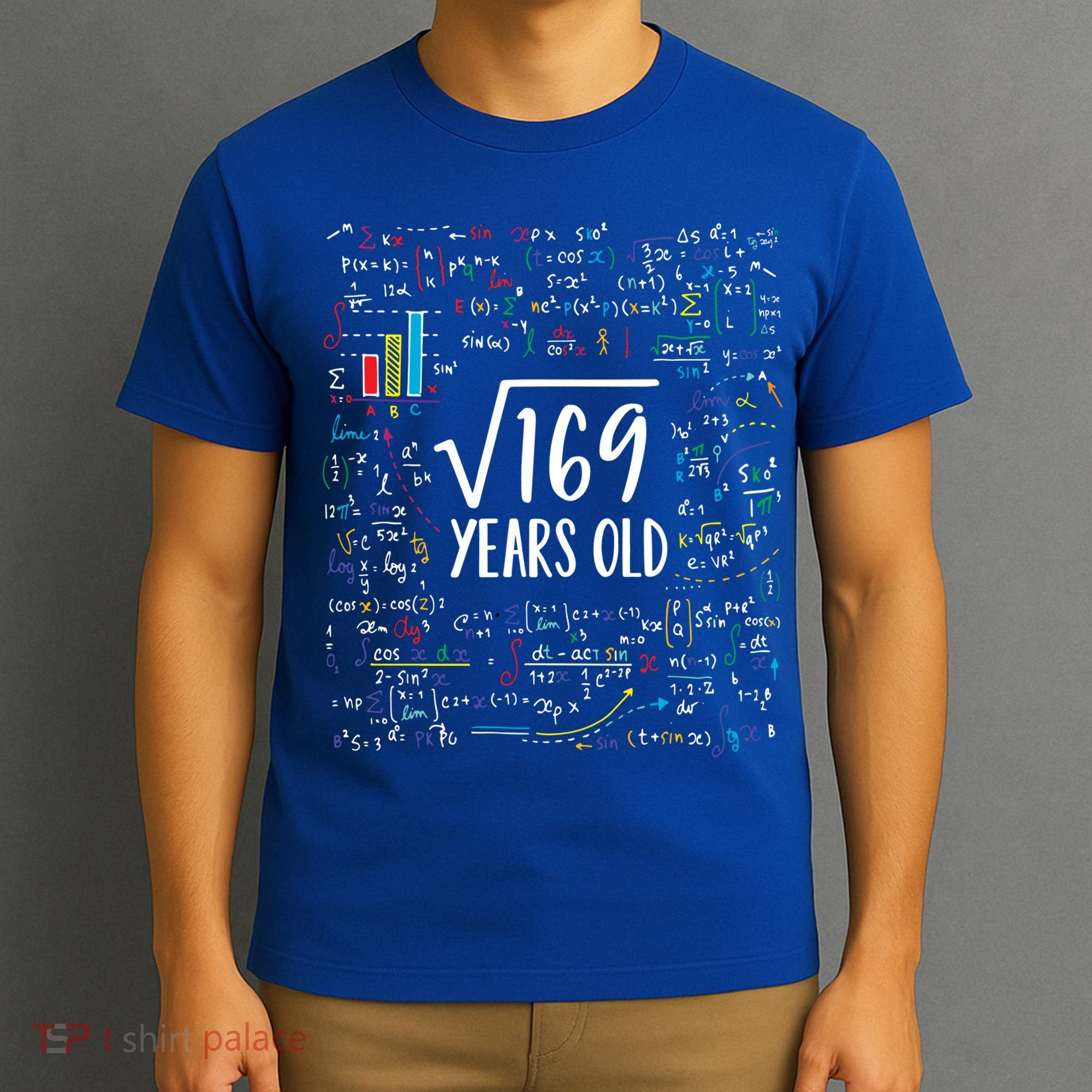 Square Root Of 169 13th Birthday Gift 13 Year Old Gifts Math Bday Gift T-Shirt