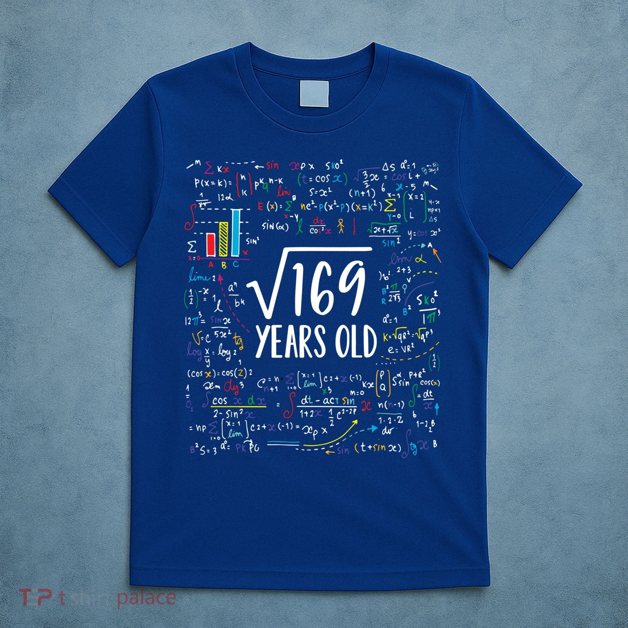Square Root Of 169 13th Birthday Gift 13 Year Old Gifts Math Bday Gift T-Shirt