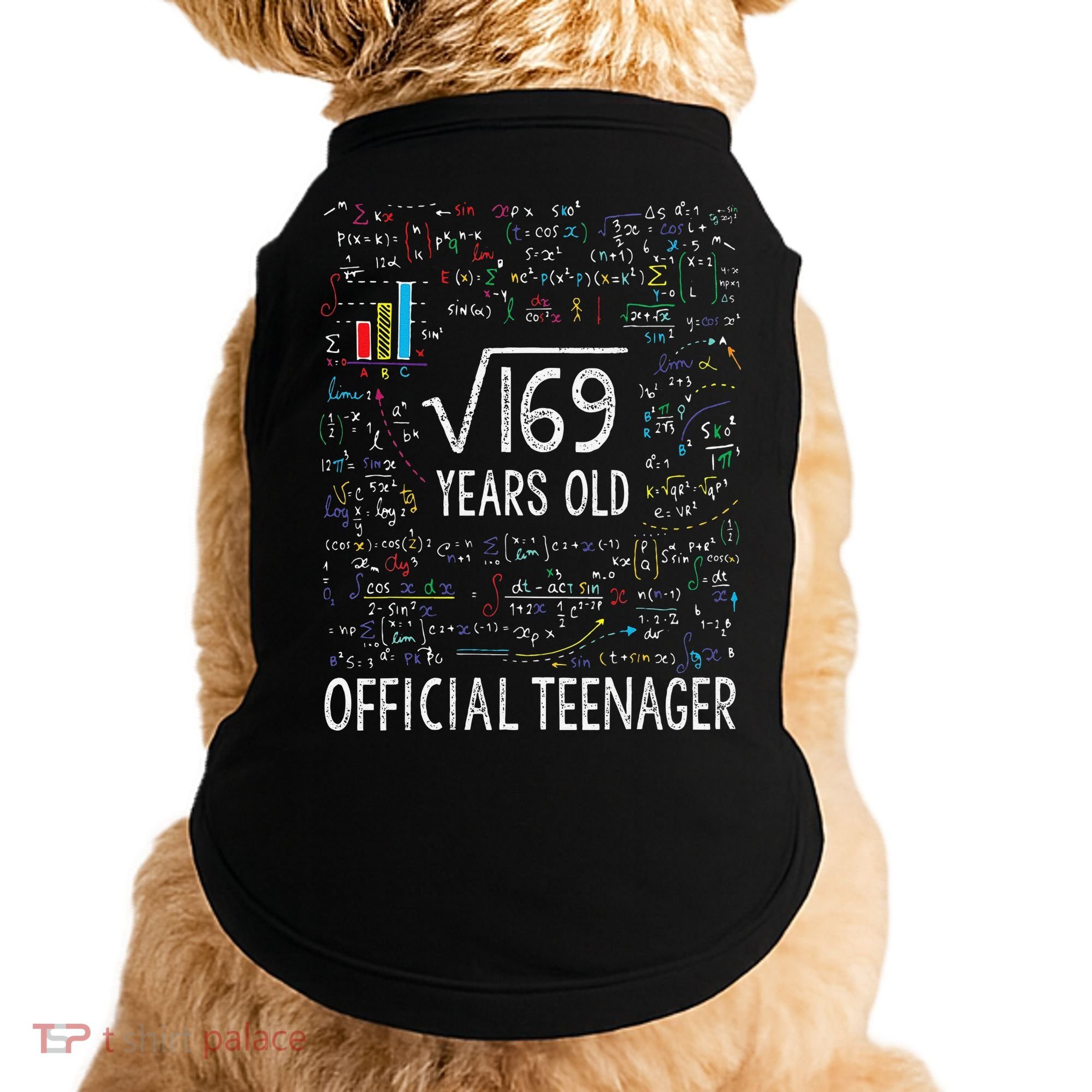 Square Root Of 169 13 Years Old Nager Birthday Doggie Tank