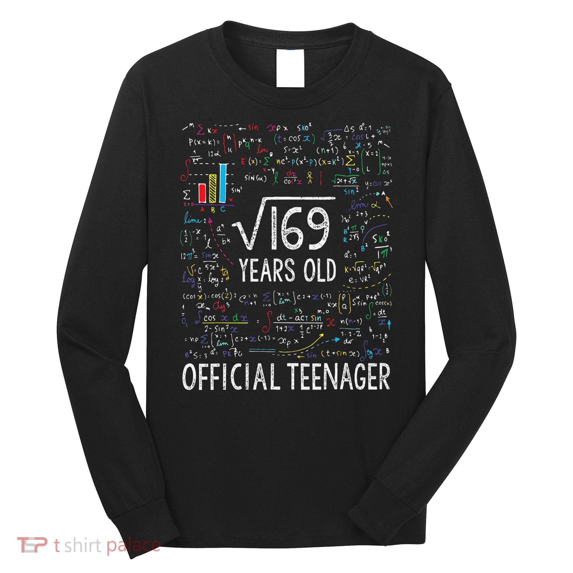 Square Root Of 169 13 Years Old Nager Birthday Long Sleeve Shirt