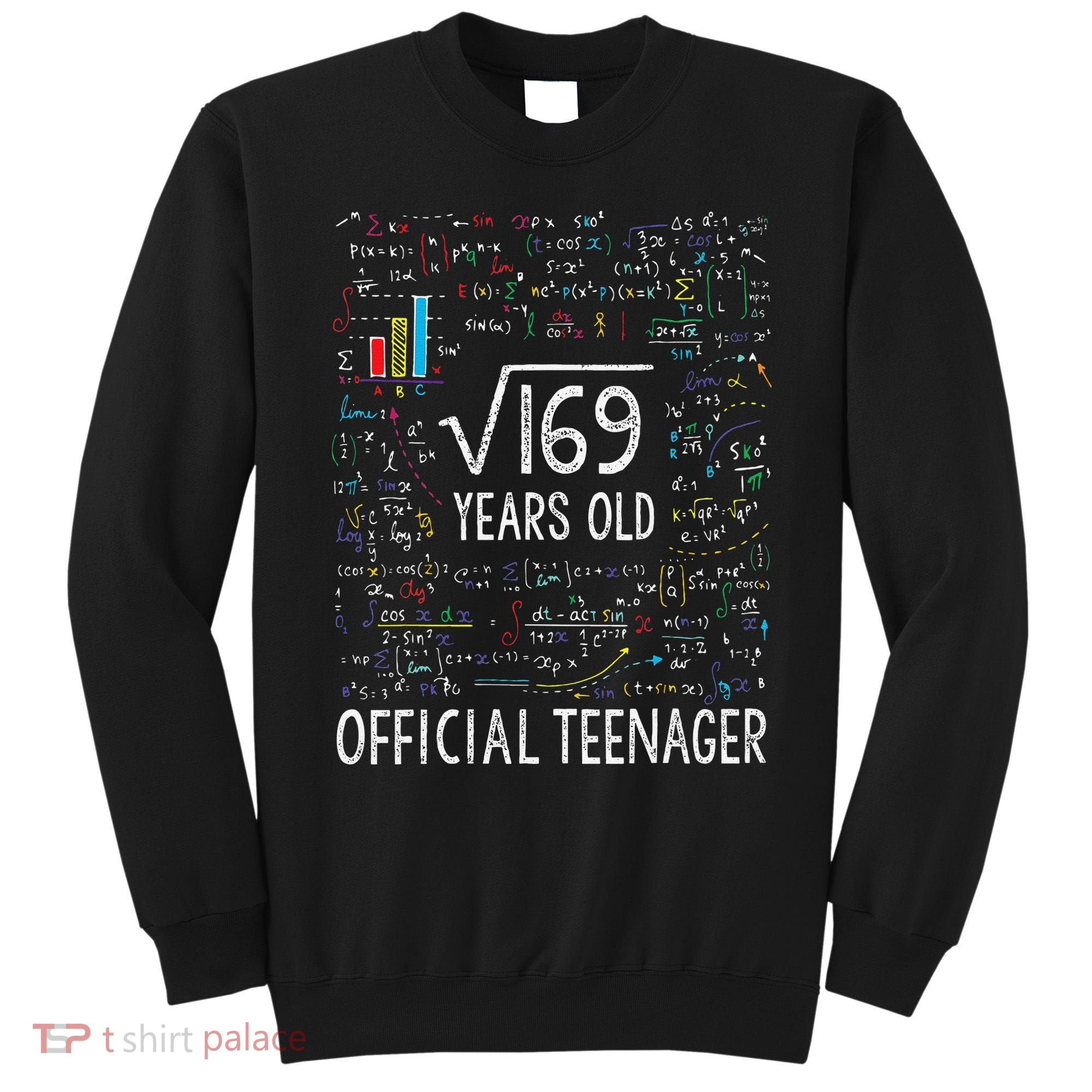 Square Root Of 169 13 Years Old Nager Birthday Sweatshirt
