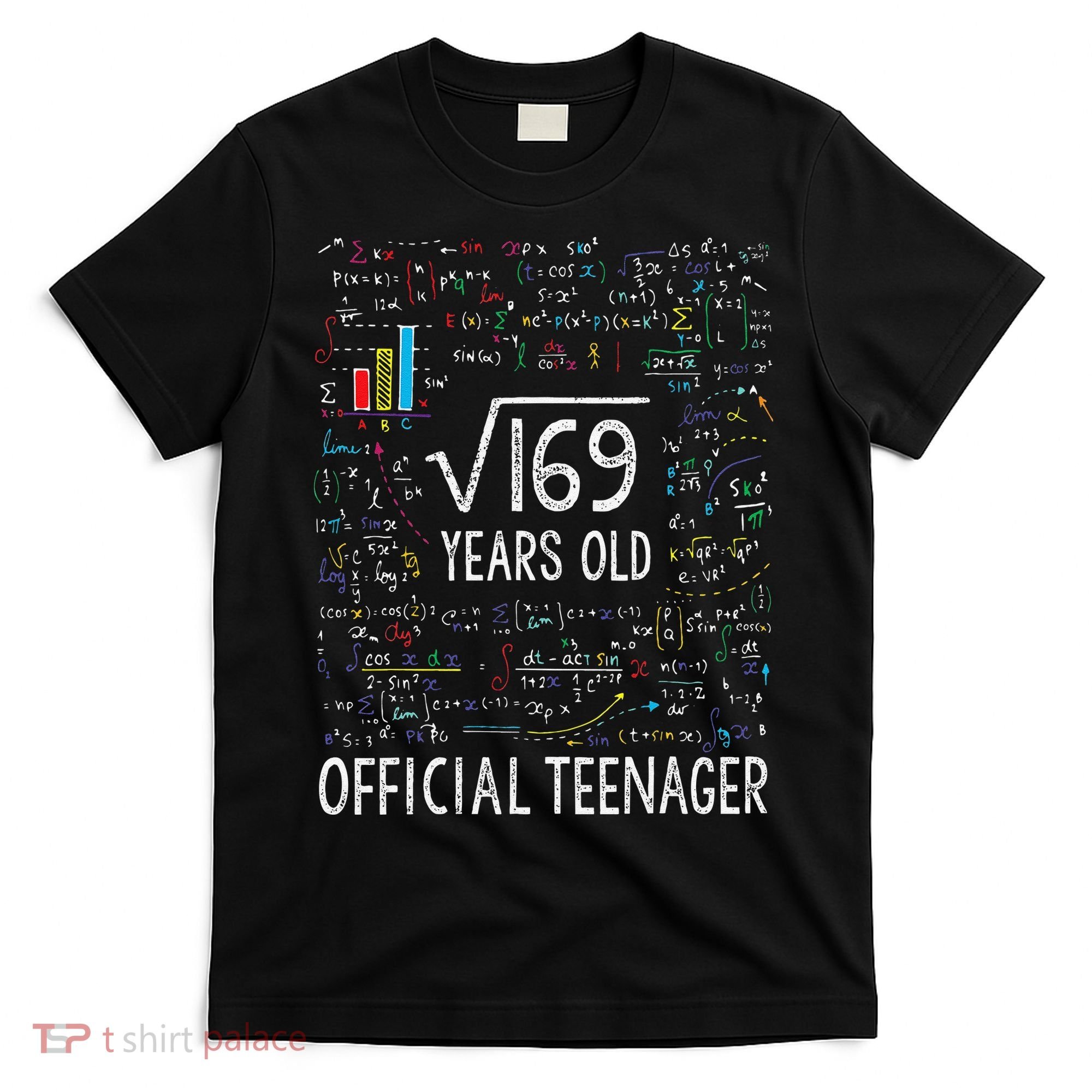 Square Root Of 169 13 Years Old Nager Birthday T-Shirt