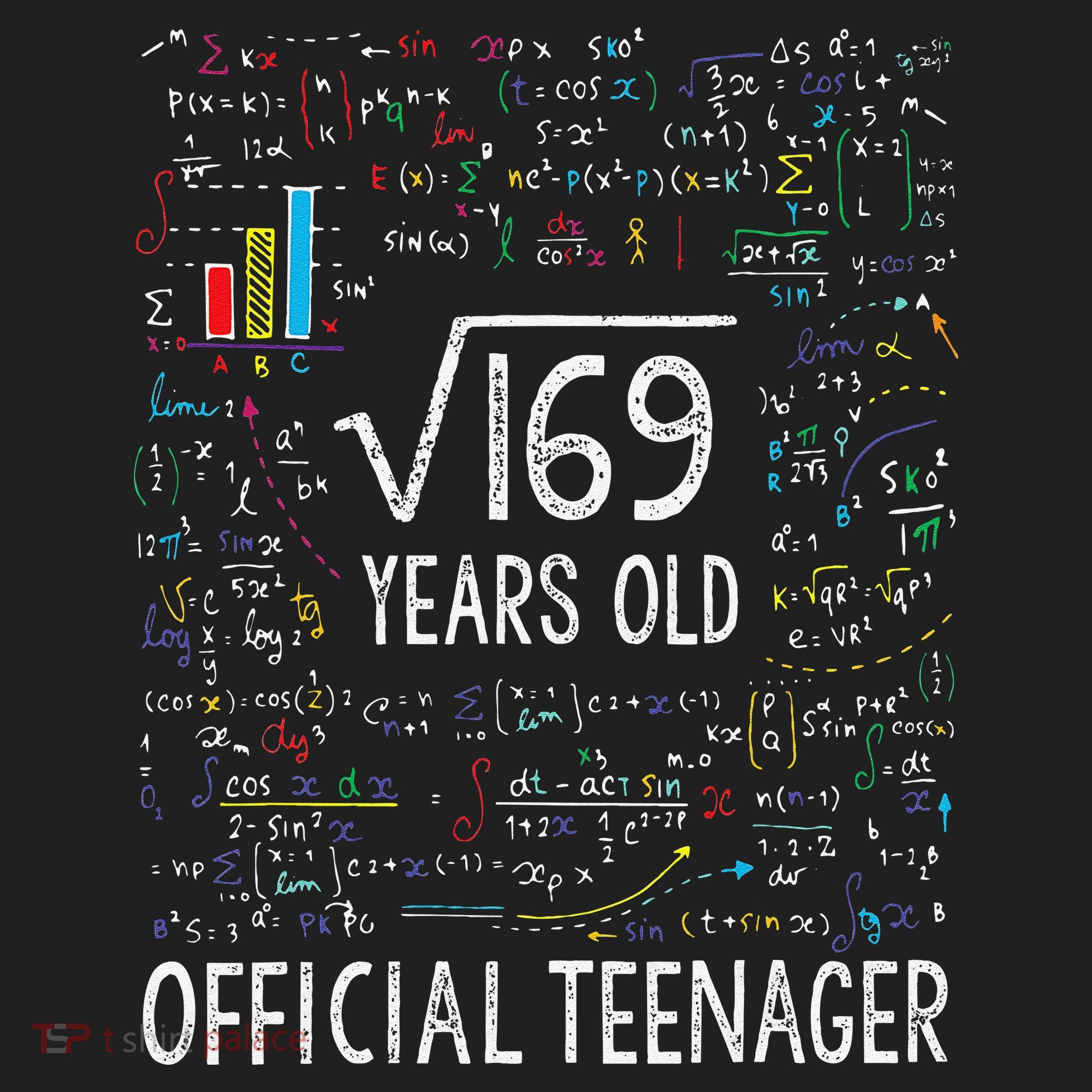 Square Root Of 169 13 Years Old Nager Birthday Beanie
