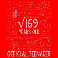 Square Root Of 169 13 Years Old Nager Birthday Santa Hat thumb 1