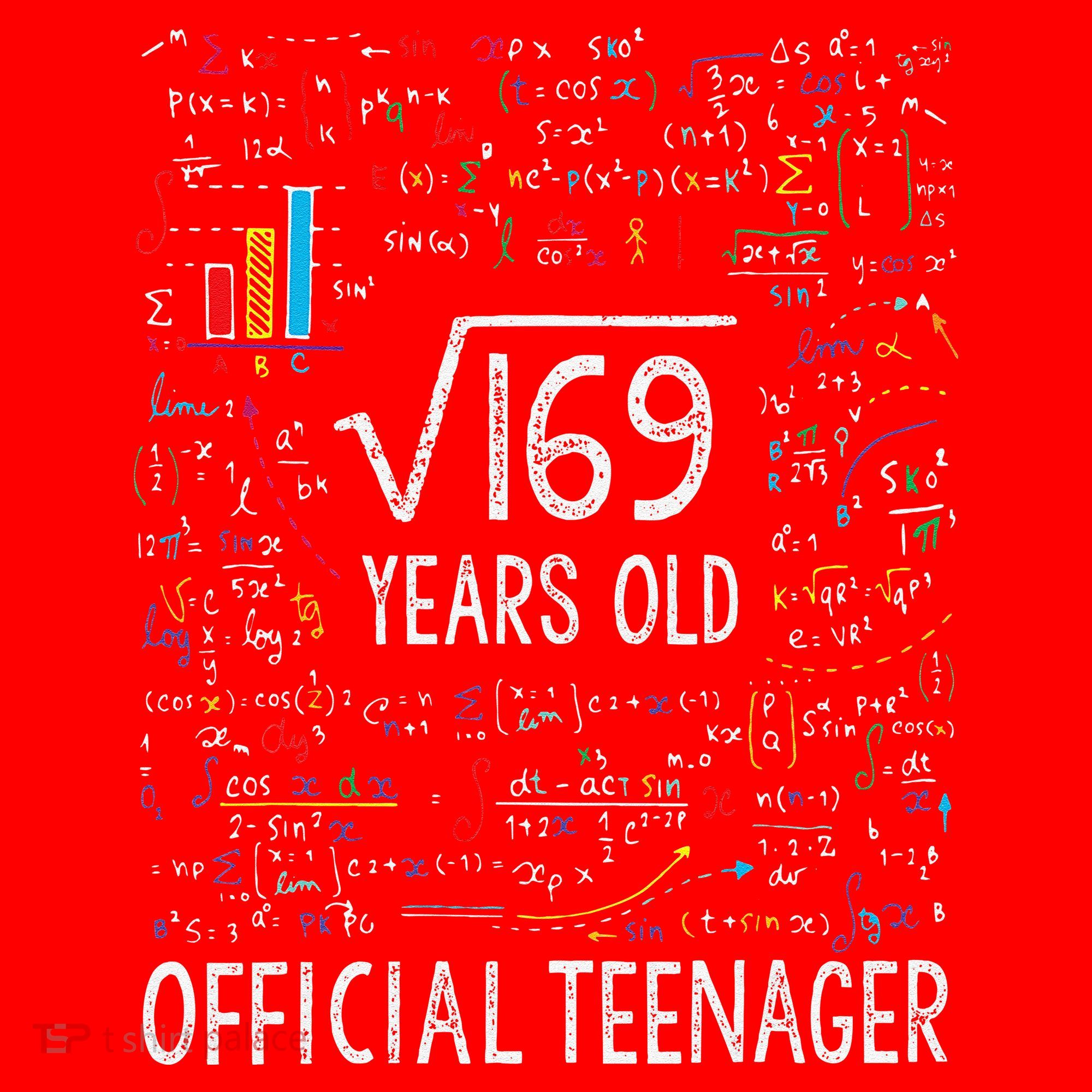 Square Root Of 169 13 Years Old Nager Birthday Santa Hat