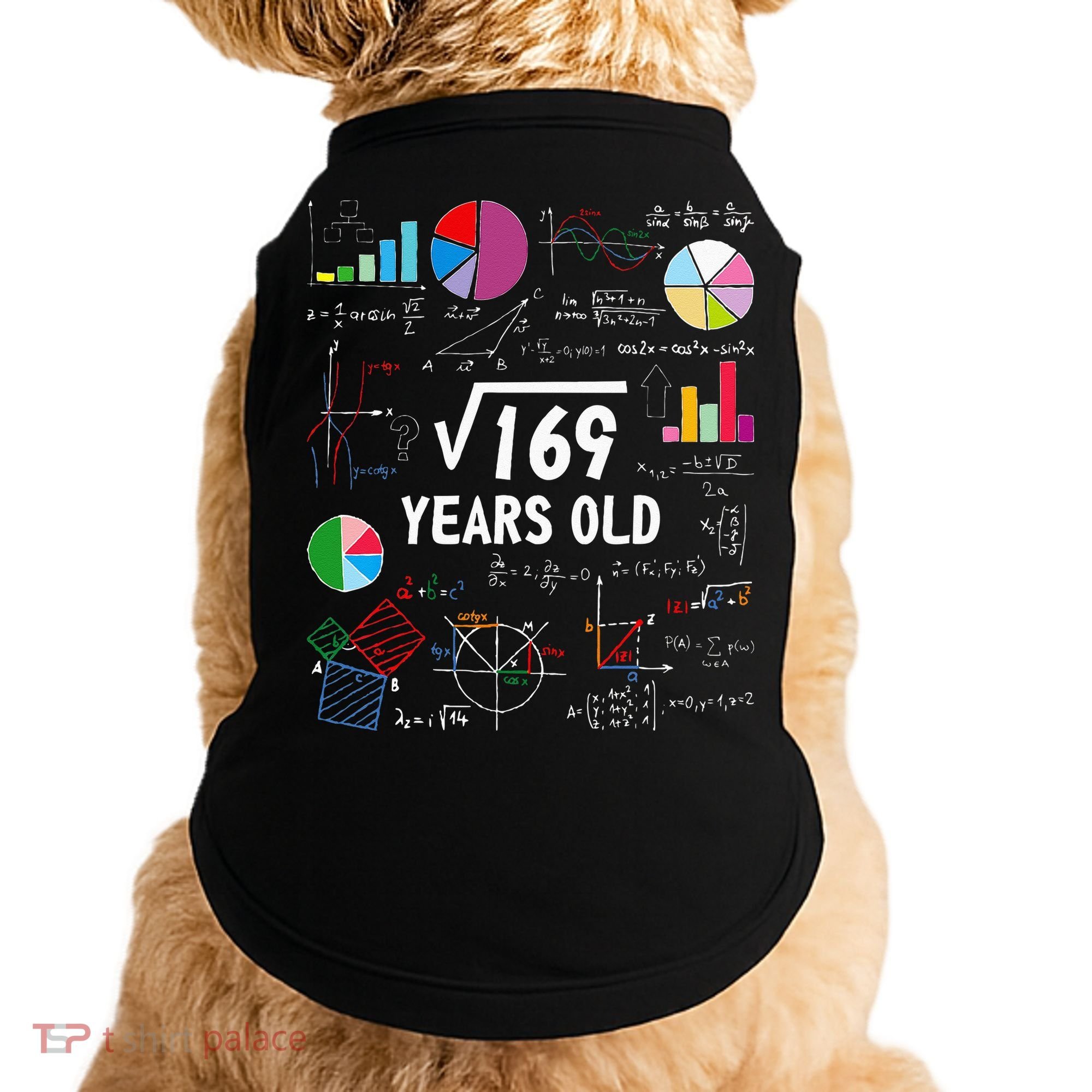 Square Root Of 169 13th Birthday 13 Year Old Math Nerd Doggie Tank