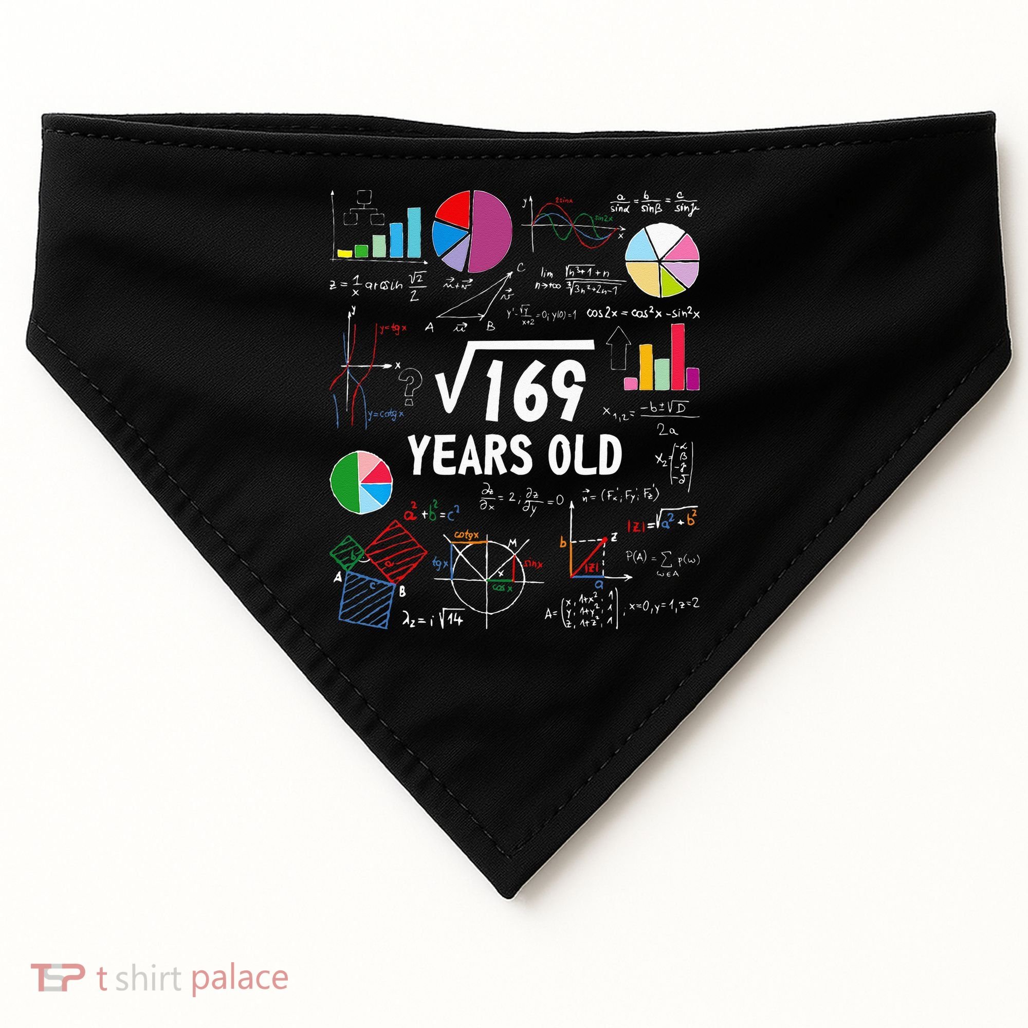 Square Root Of 169 13th Birthday 13 Year Old Math Nerd USA-Made Doggie Bandana