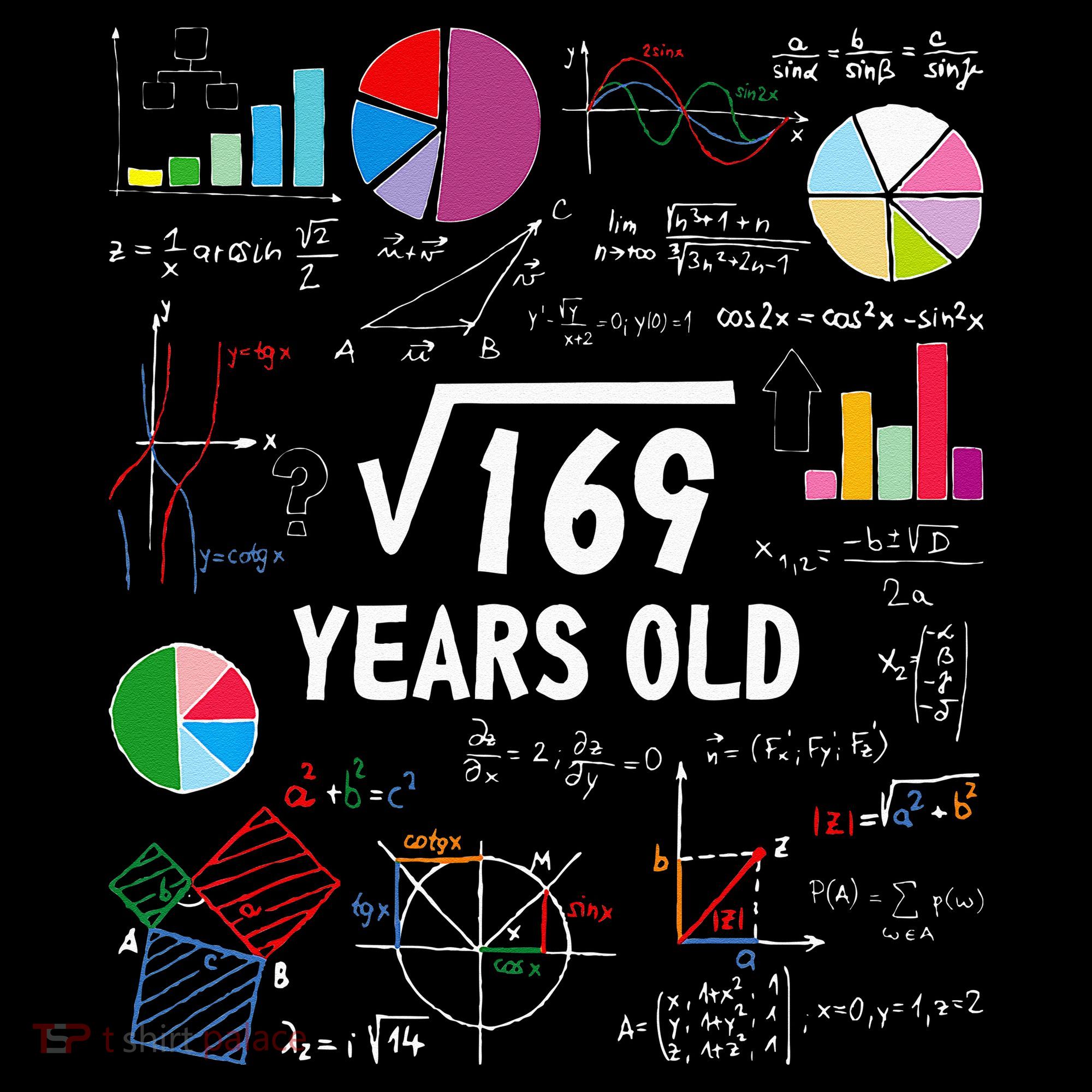 Square Root Of 169 13th Birthday 13 Year Old Math Nerd T-Shirt