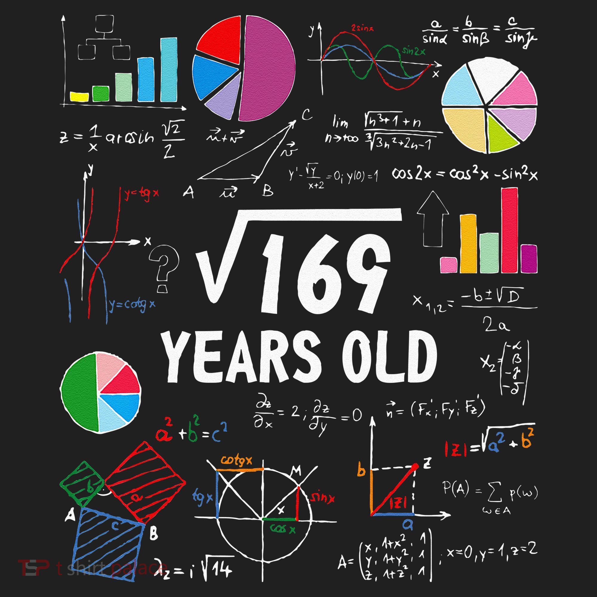 Square Root Of 169 13th Birthday 13 Year Old Math Nerd Beanie