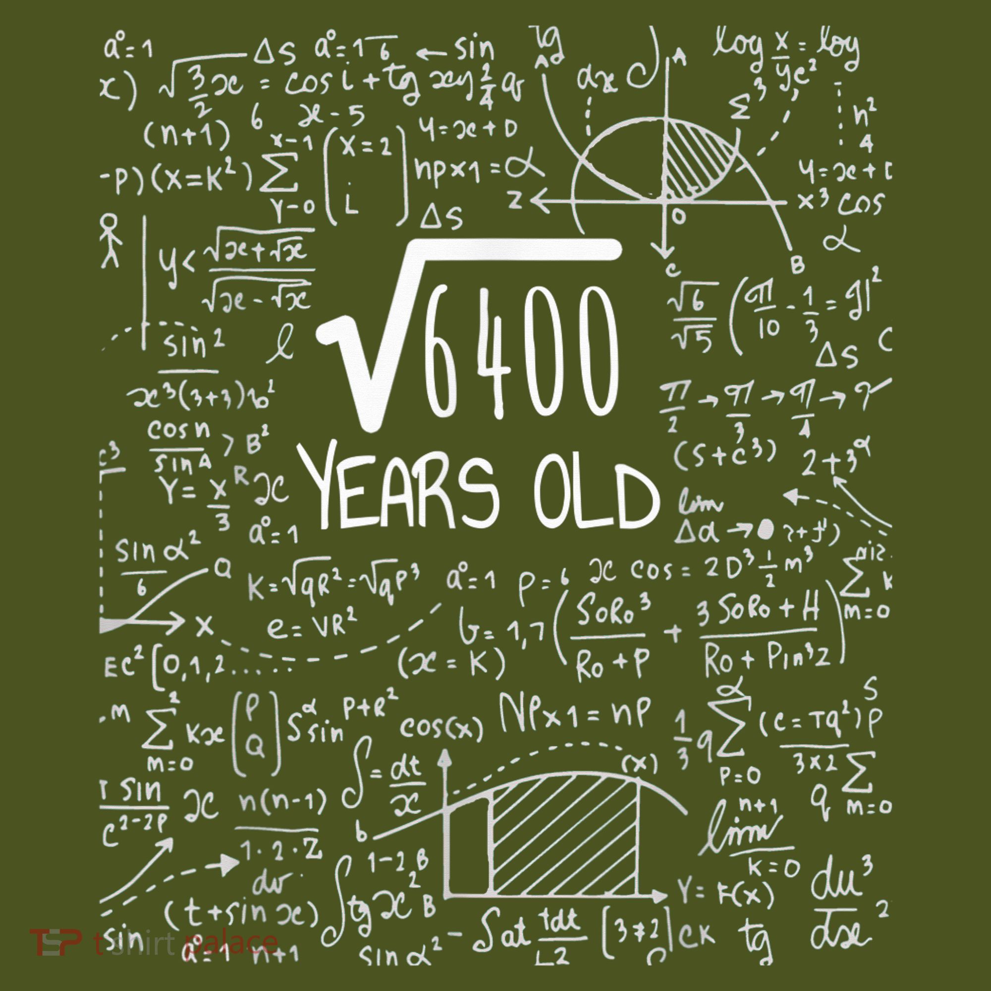 Square Root of 6400: 80 Years Old - 80th Birthday The Baniff Cuffed Pom Beanie